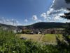 Ausblick