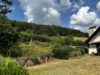 Ausblick