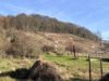 Blick in die Weinberge